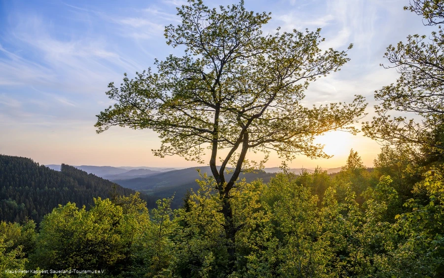 Sauerland