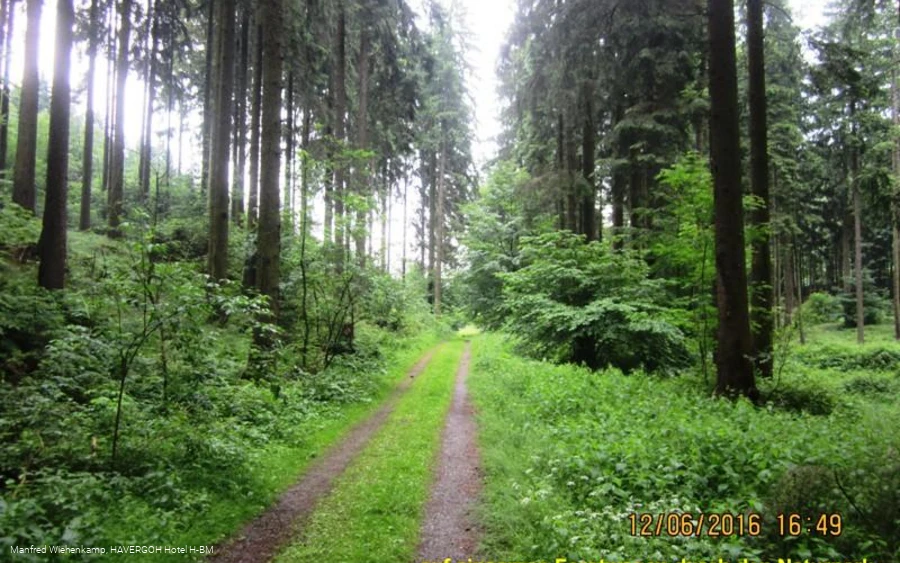 Naturweg im Zangenbachtal