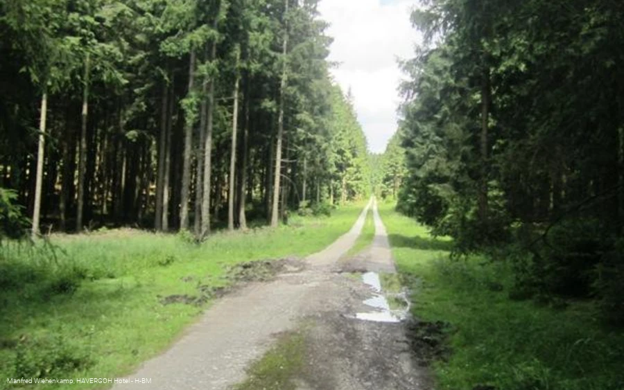 im Winnfeld radeln Sie einsam ständig auf und ab