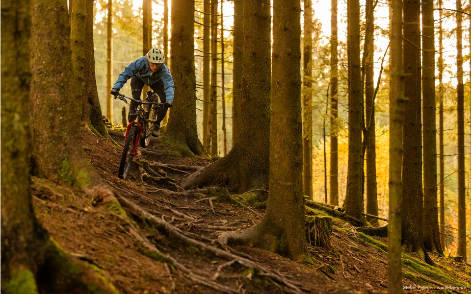 Ein Mountainbiker fährt im Trailpark über einen wuzeligen Abschnitt.
