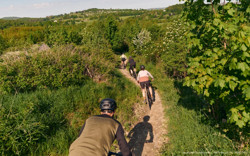 Gruppe von Mountainbikern fährt einen Trail entlang, im Hntergrund sind Berge zu sehen.