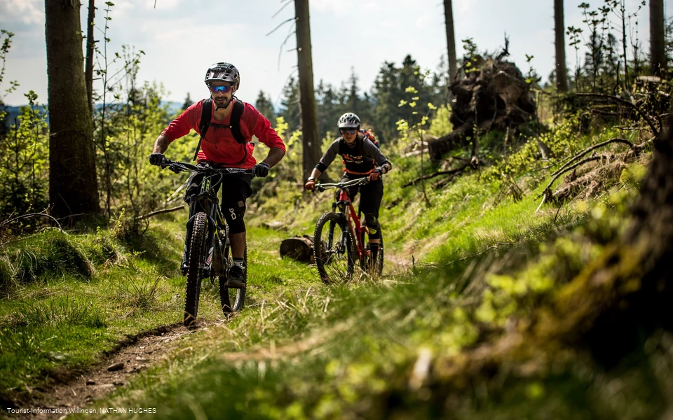 2 Mountainbiker fahren am Wald entlang