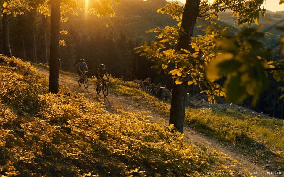 Zwei Gravelbiker fahren einen Forstweg entlang, hinter ihnen geht die Sonne unter.