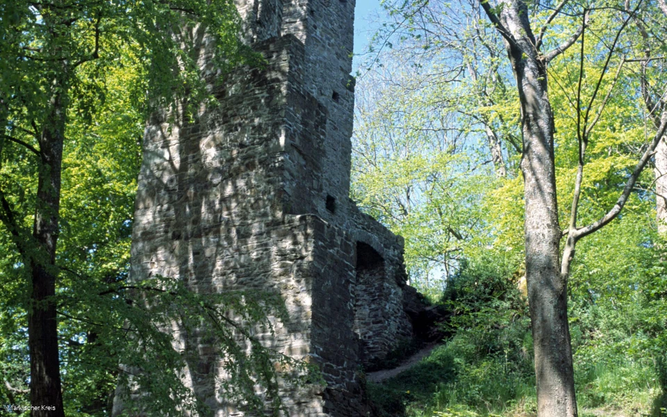 Burgruine Schwarzenberg