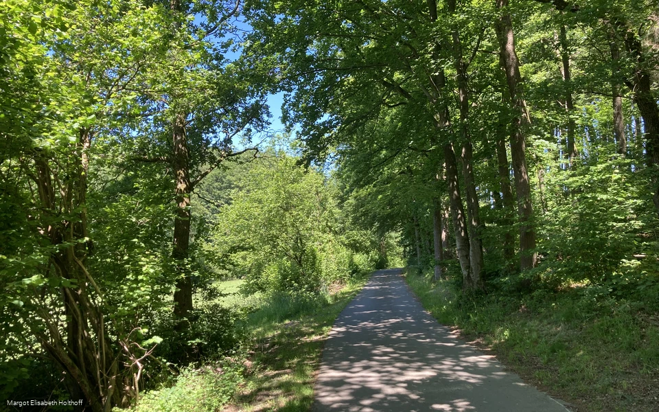 Auf dem Dräulzer Nr. 3 Steinbruchrunde.jpg Auf dem Dräulzer Nr. 3 Steinbruchrunde.jpg