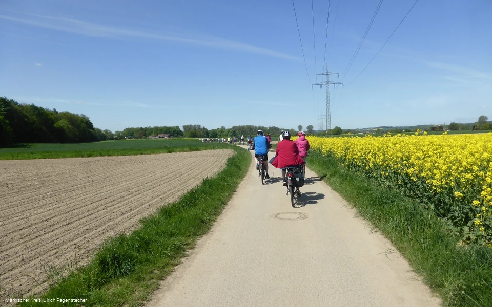 Radler mit Rapsfeld