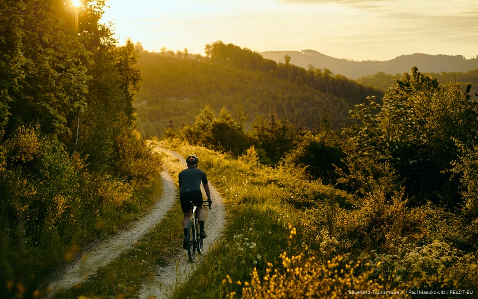 Gravelbiker fährt richtig aufgehender Sonne. Der Ginster blüht und das Licht ist golden.