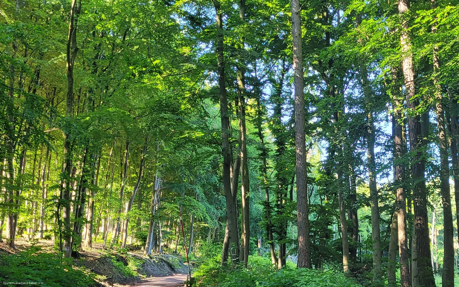 Wiehengebirge Lübbecke