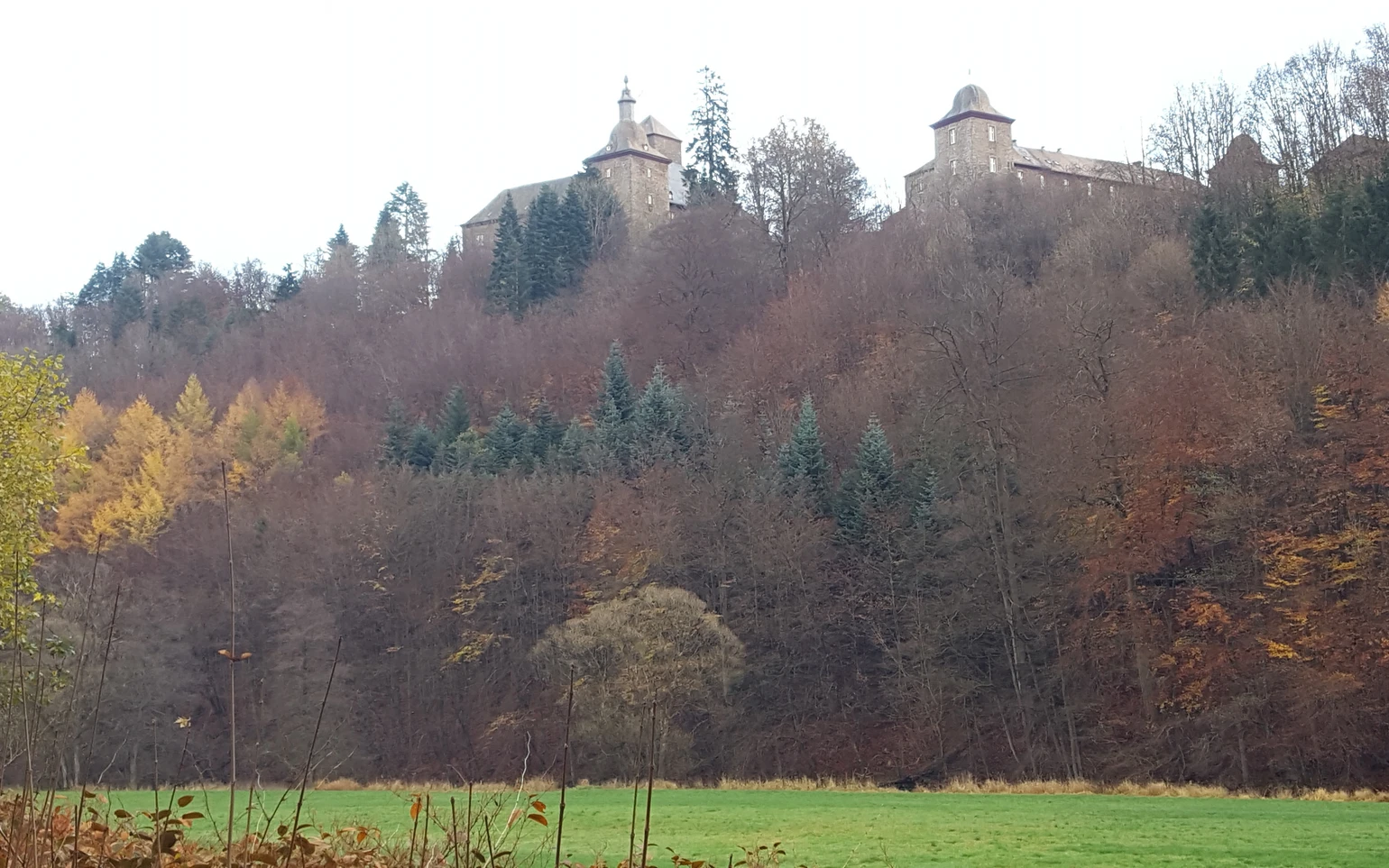 20201112_150036.jpg