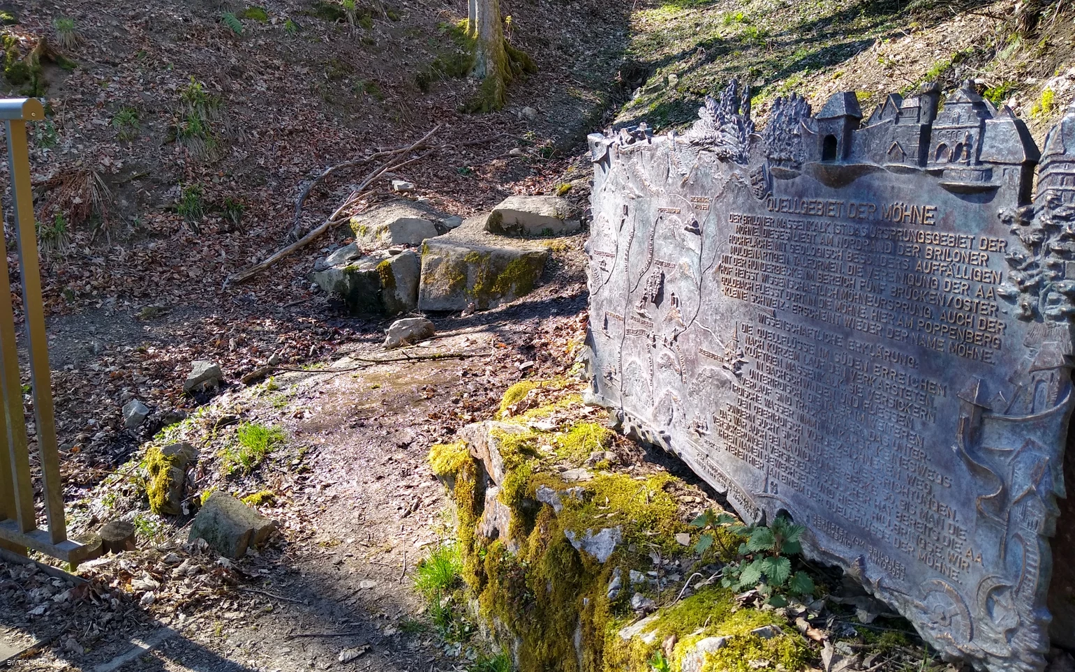 IMG_20210427_103634275_HDR.jpg