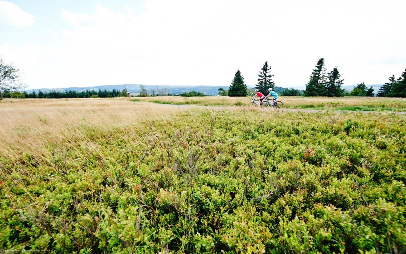 In der Hochheide-Landschaft des Kahlen Astens