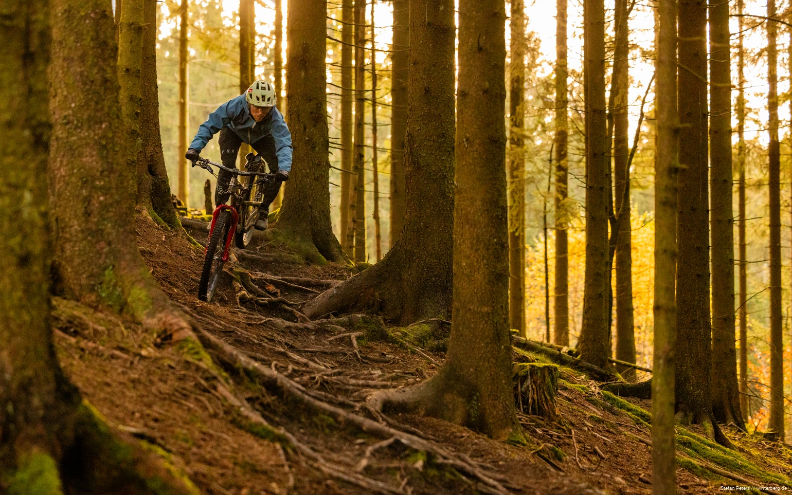 Ein Mountainbiker fährt im Trailpark über einen wuzeligen Abschnitt.