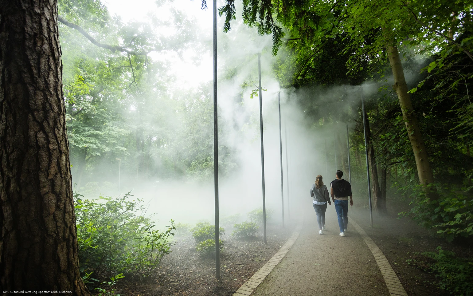 Nebelweg Bad Waldliesborn