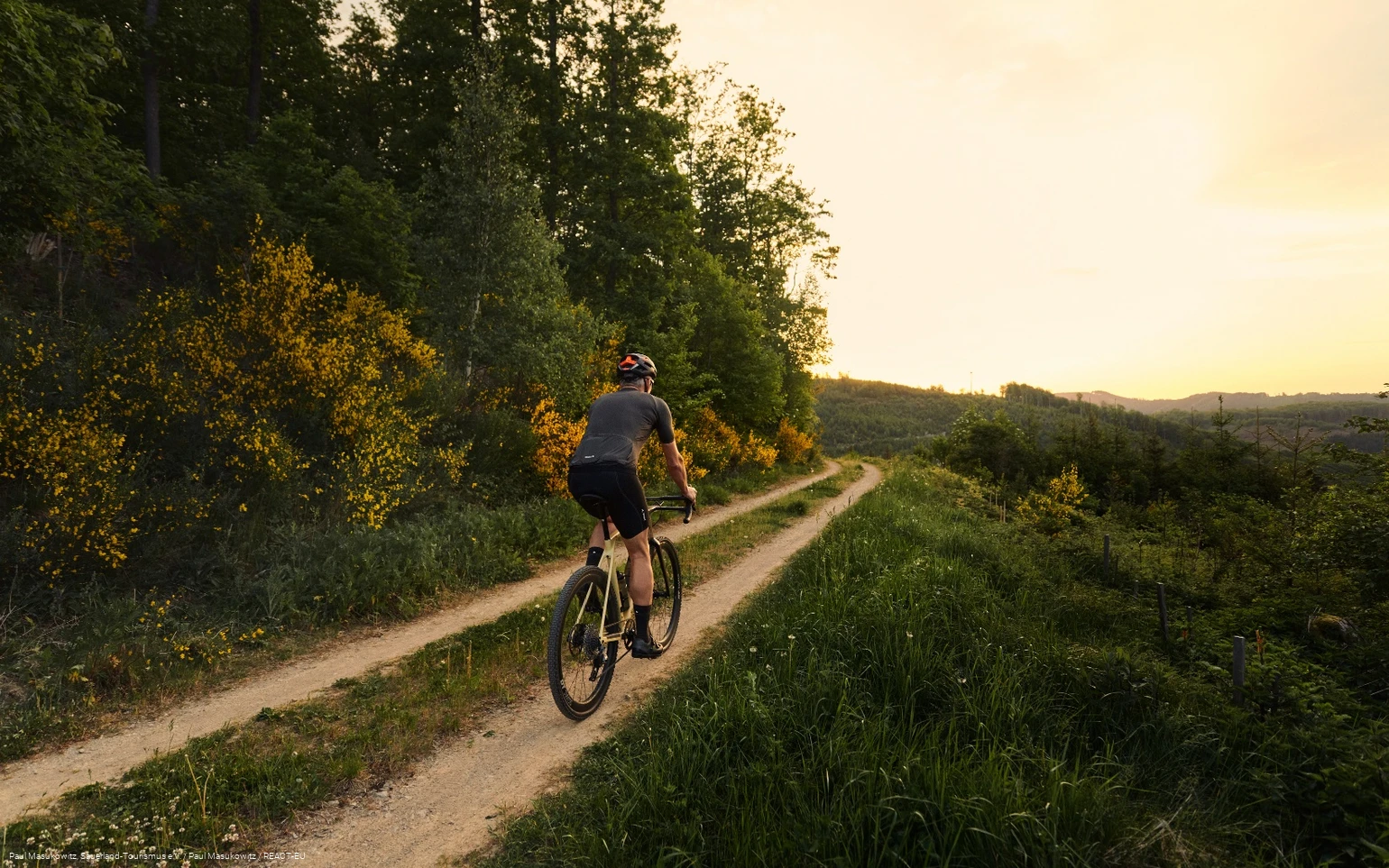 Gravelbike