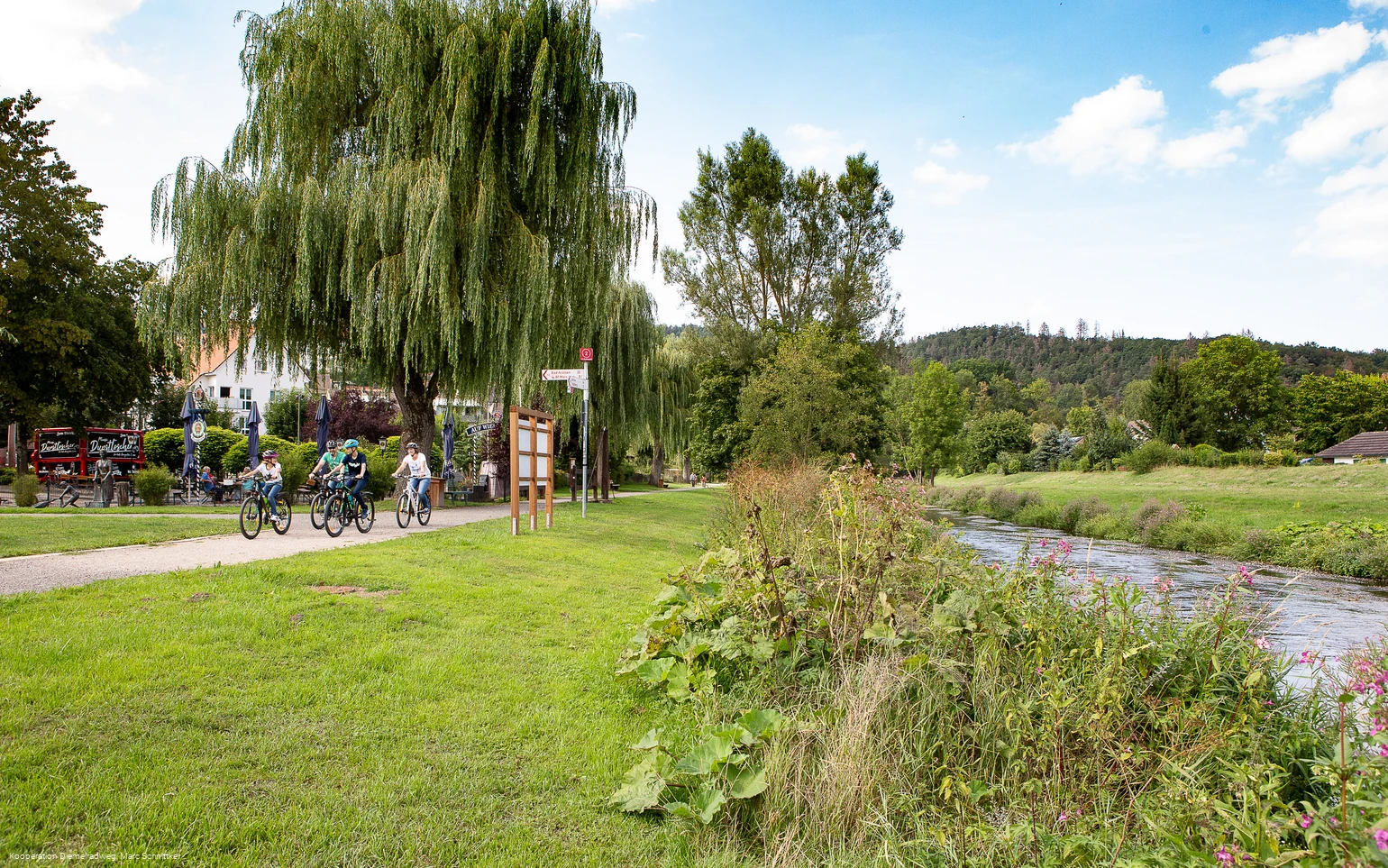 Diemelradweg - Entlang des Flusses an den Bleichen (Marsberg)