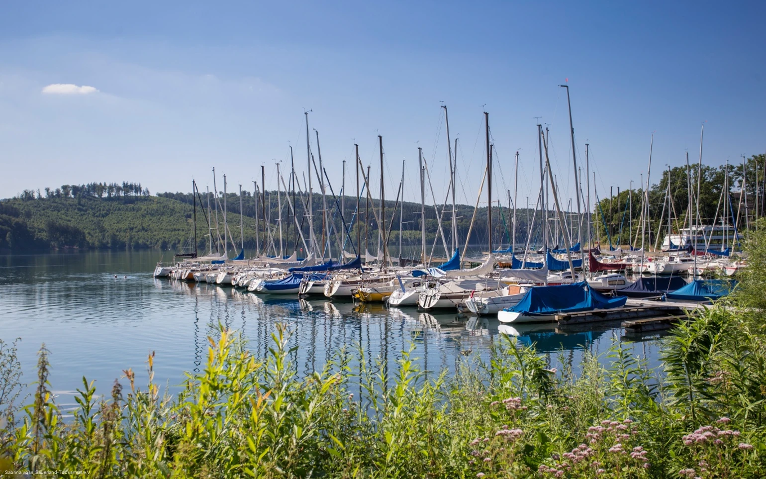 Boote am Yachtclub