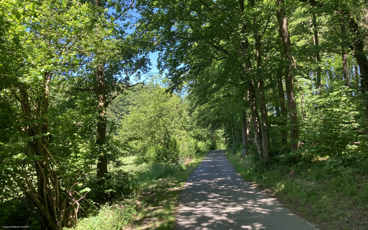 Auf dem Dräulzer Nr. 3 Steinbruchrunde.jpg Auf dem Dräulzer Nr. 3 Steinbruchrunde.jpg