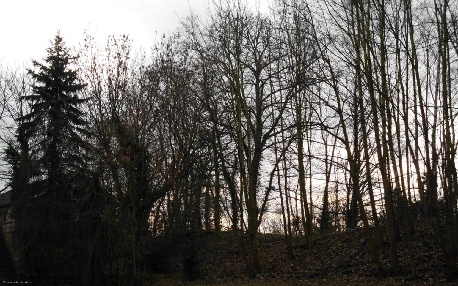 Ehemailiger Bahndamm Bad Sassendorf