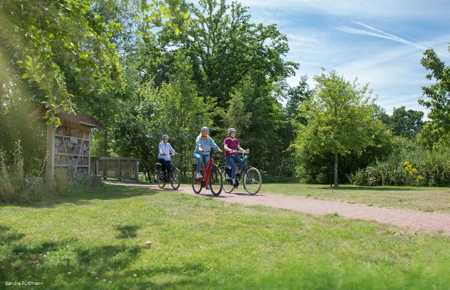 Fahrräder Eulenpark©Sandra Püttmann.jpg
