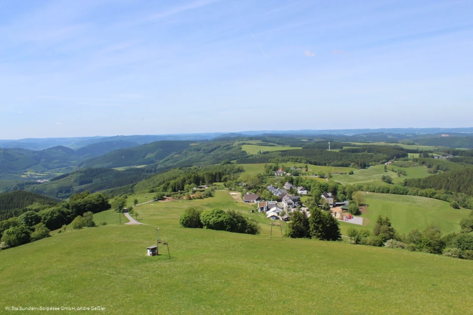 Wildewiese vom Schombergturm