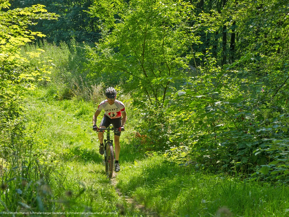 Radfahren auf Trekkingrouten im Schmallenberger Sauerland