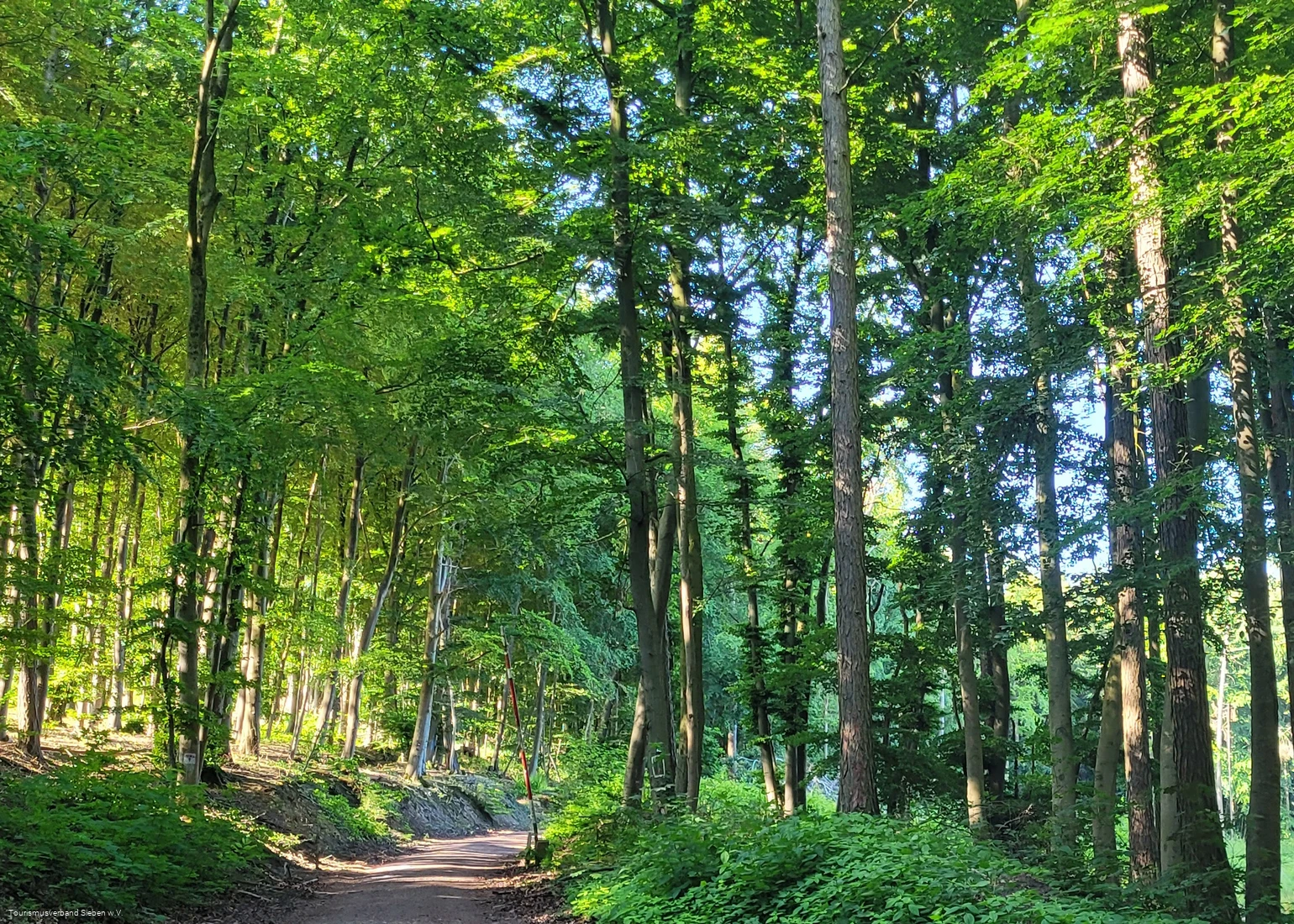 Wiehengebirge Lübbecke