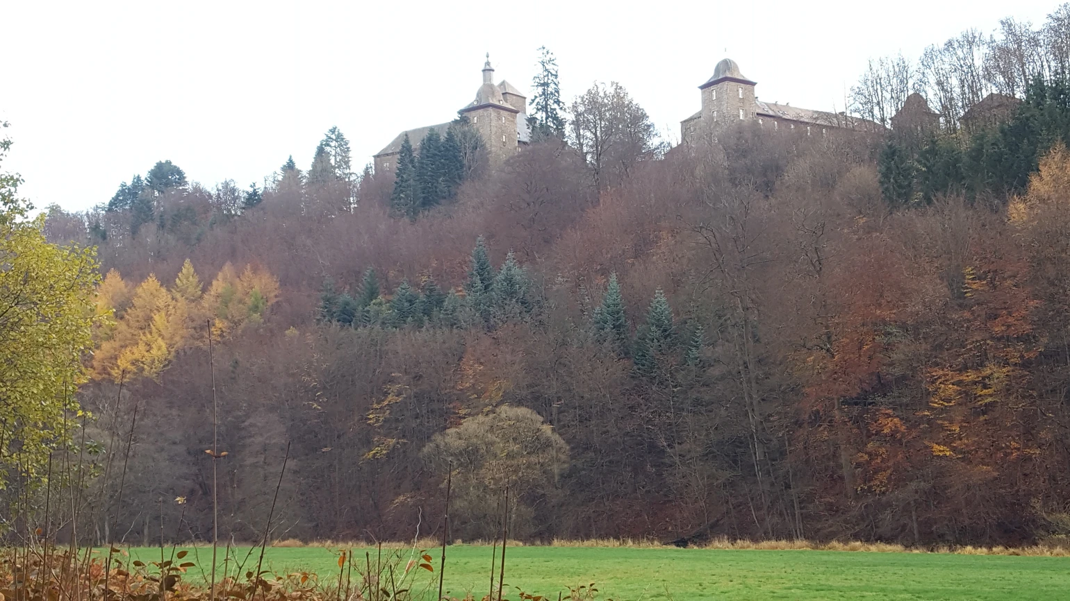 20201112_150036.jpg