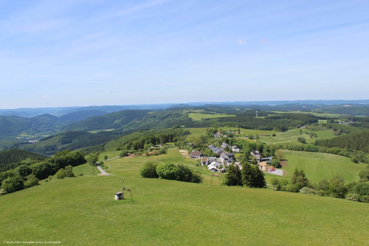 Wildewiese vom Schombergturm