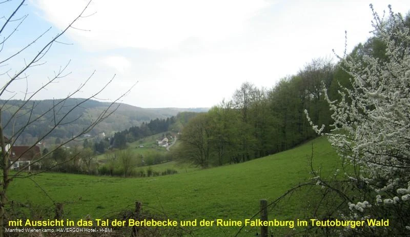 Tal der Berlebecke mit Ruine Falkenburg inmitten der weiten Wälder des Teutoburger Waldes 