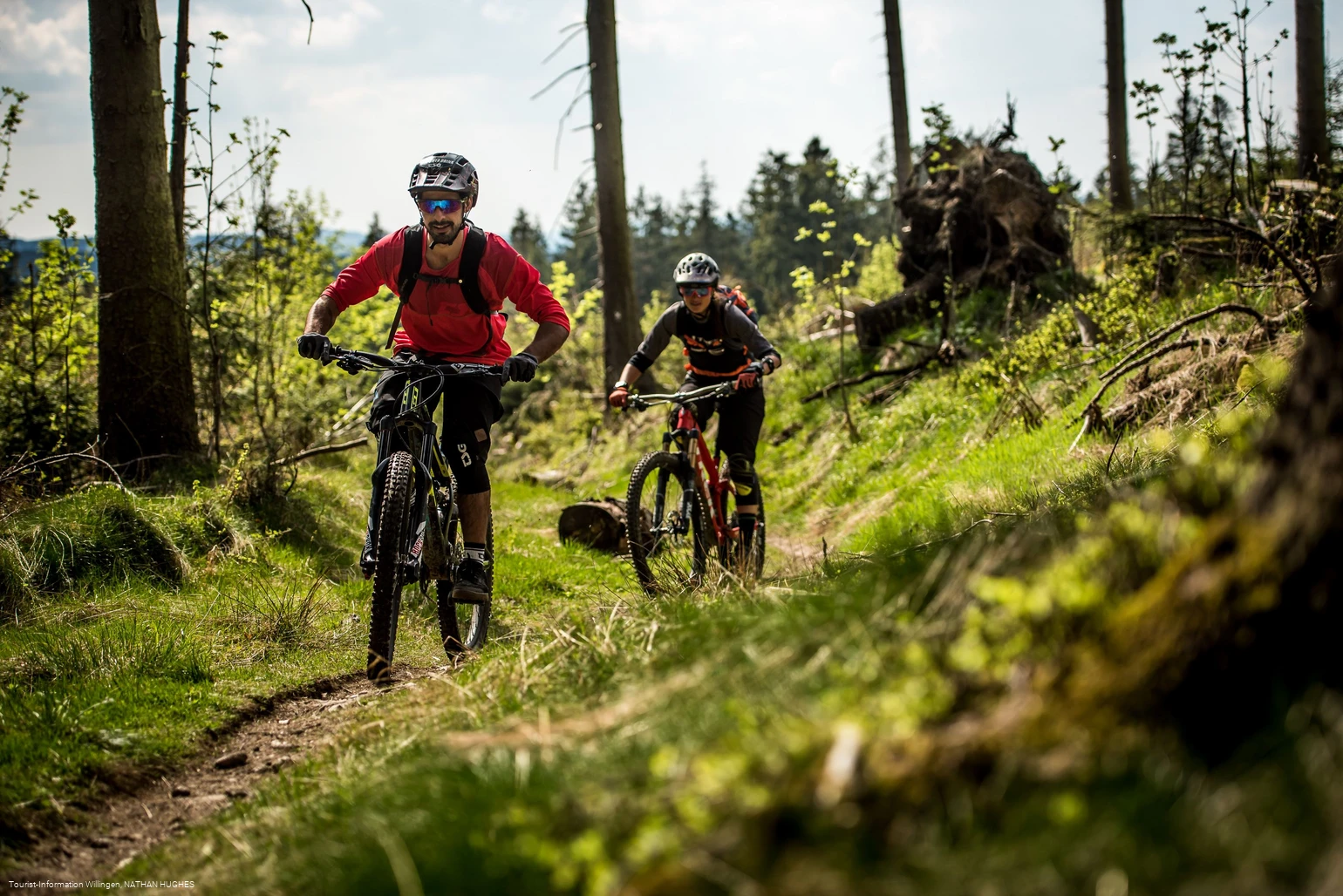 2 Mountainbiker fahren am Wald entlang