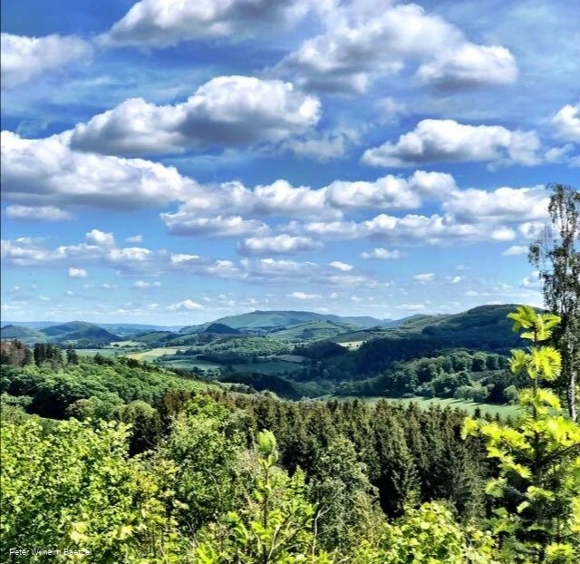 Die gemischte Tour