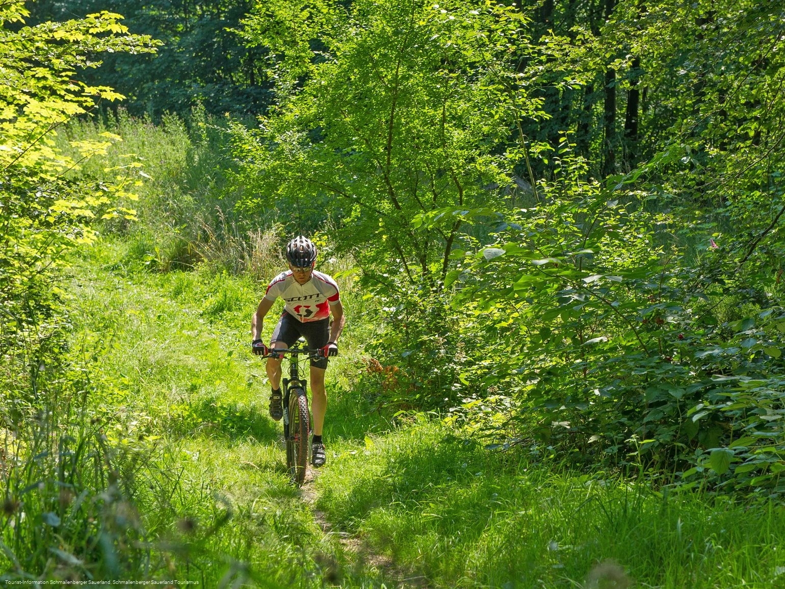 Radfahren auf Trekkingrouten im Schmallenberger Sauerland