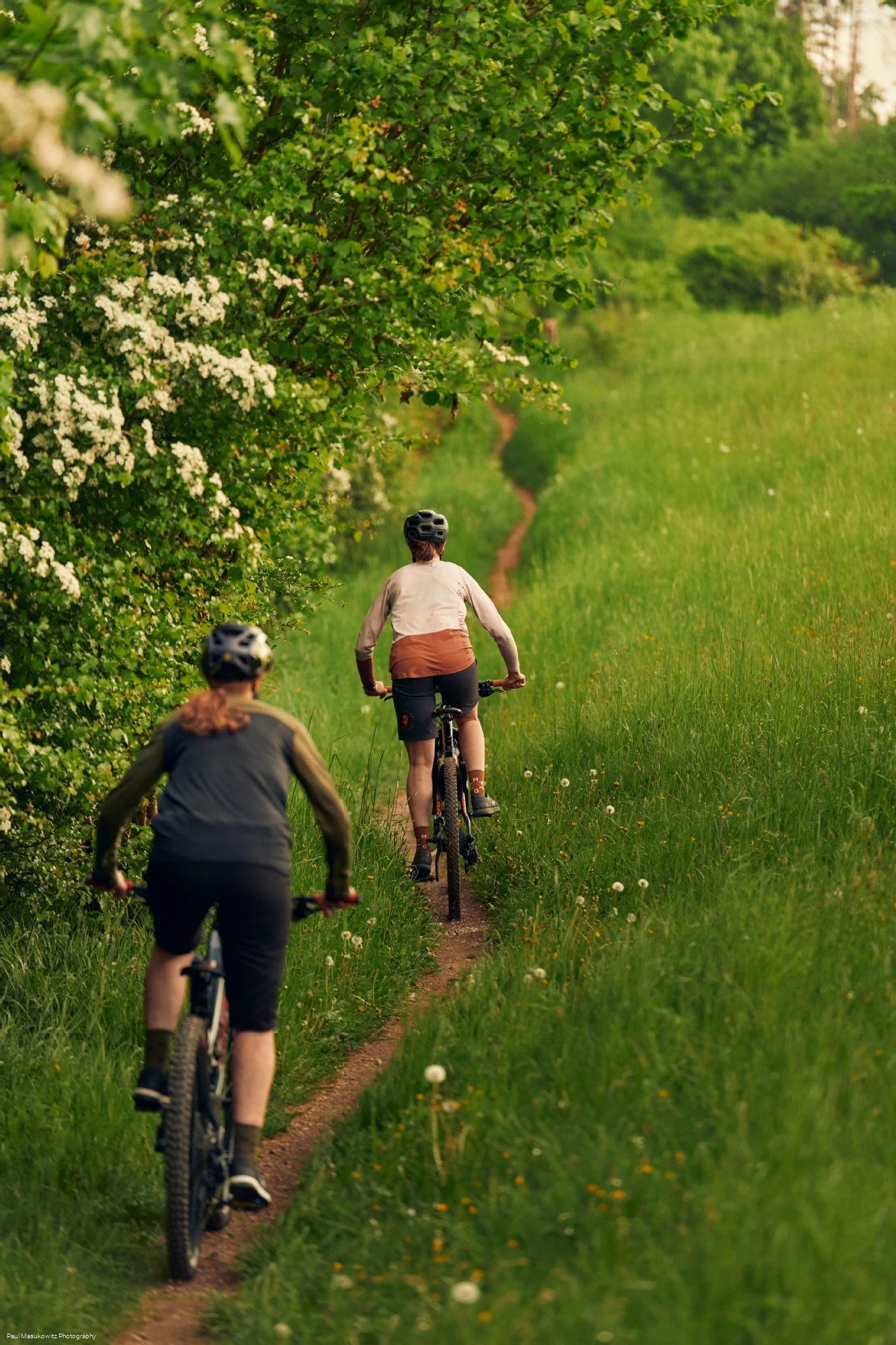 Mountainbiking im Sauerland