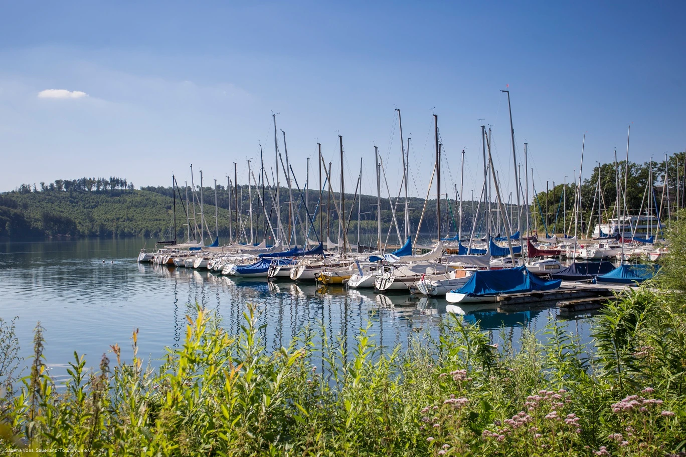 Boote am Yachtclub